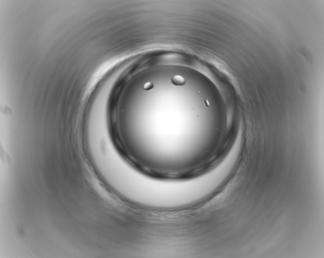 X0000091181030200708091218
