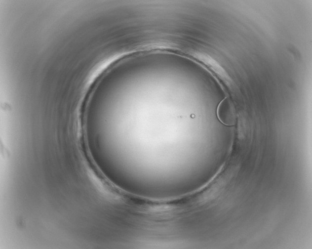 X0000091181031200708091218
