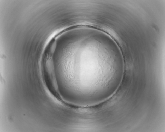 X0000091181032200708091218