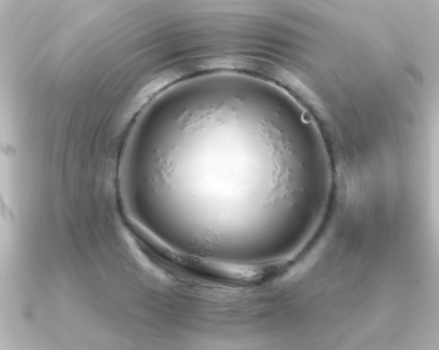 X0000091181033200708091218
