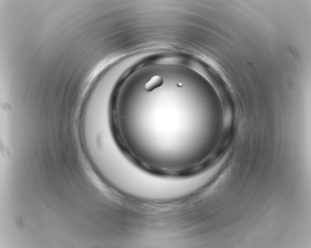 X0000091181034200708091218