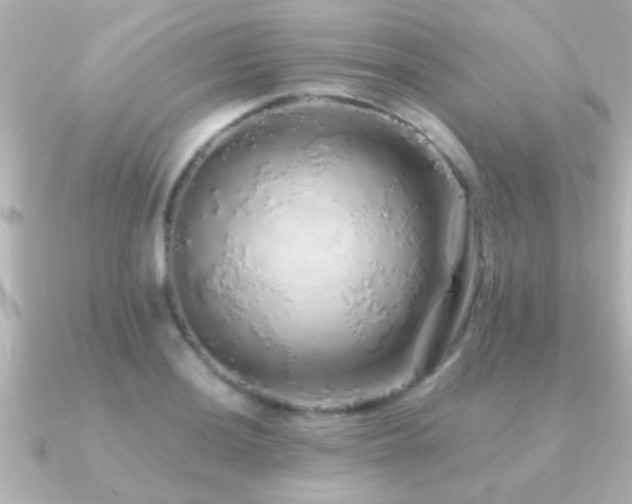 X0000091181036200708091218