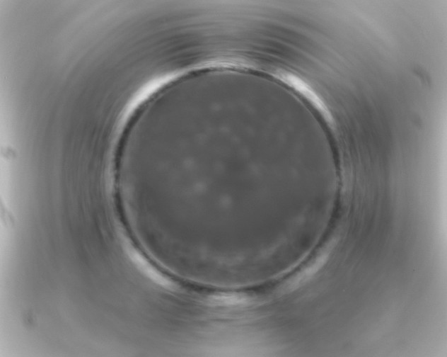 X0000091181037200708091218