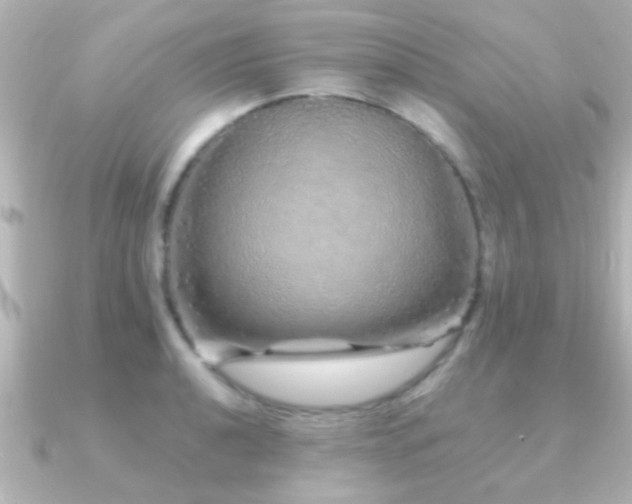 X0000091181040200708091218