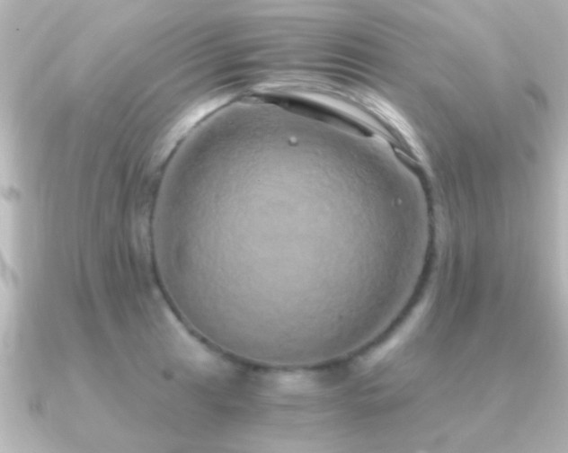 X0000091181041200708091218