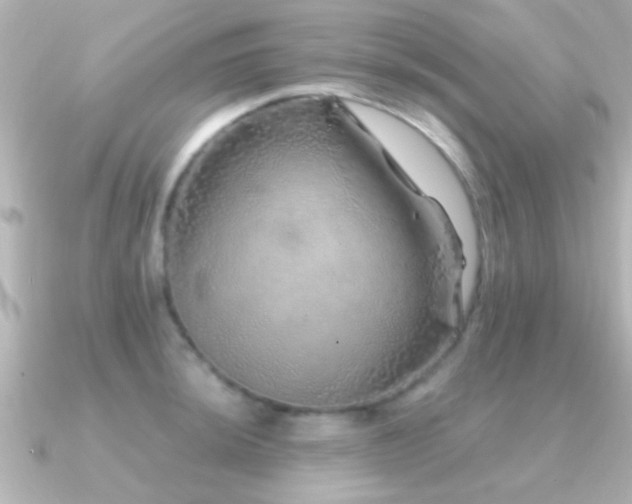 X0000091181044200708091218