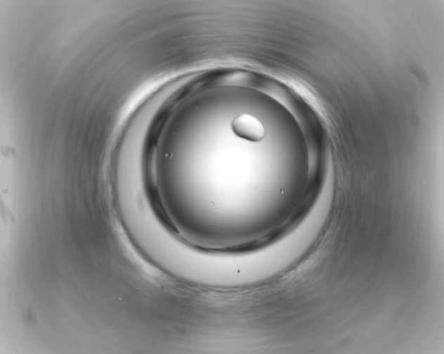 X0000091181046200708091218