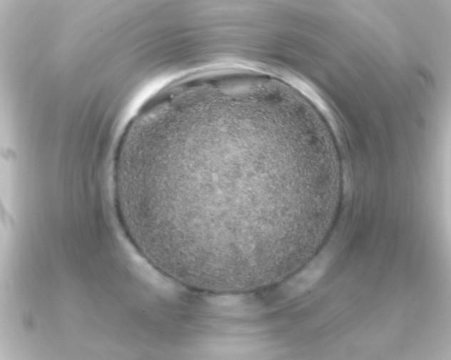 X0000091181048200708091218