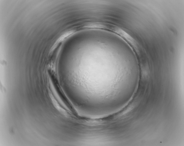 X0000091181049200708091218