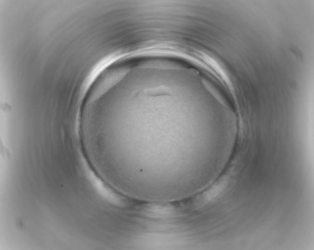 X0000091181050200708091218