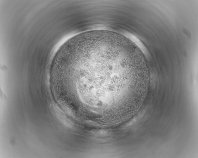 X0000091181051200708091218