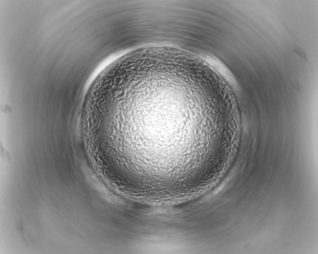 X0000091181052200708091218
