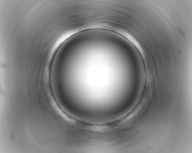 X0000091181053200708091218
