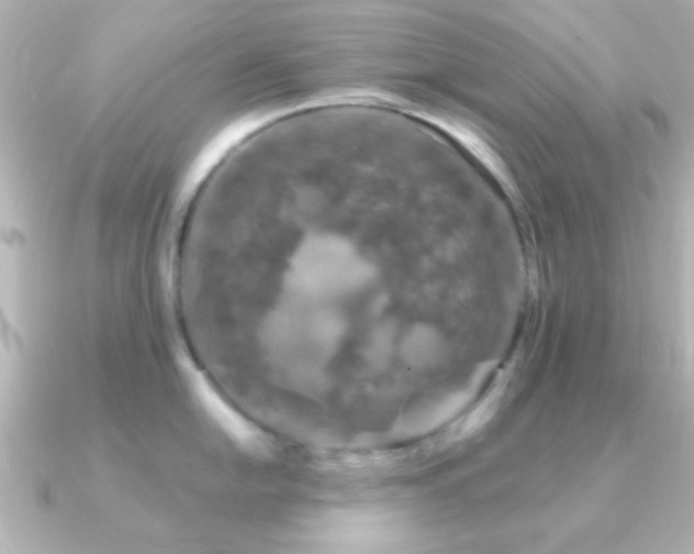 X0000091181054200708091218