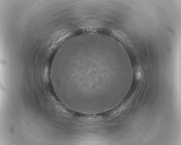 X0000091181060200708091218