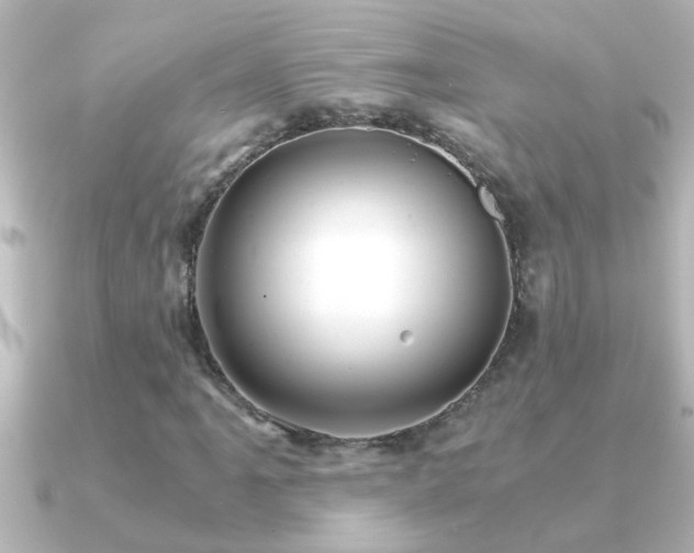 X0000091181061200708091218