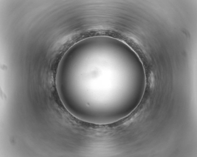 X0000091181062200708091218