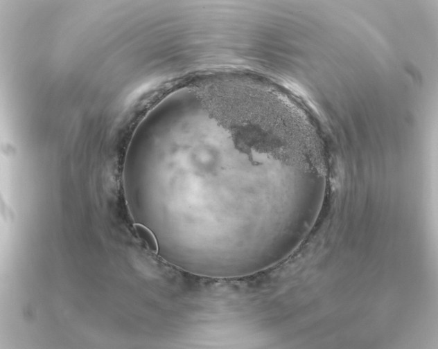 X0000091181063200708091218