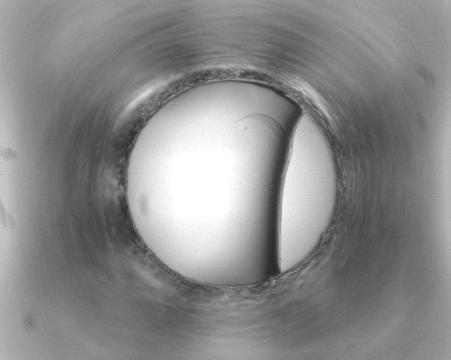 X0000091181064200708091218
