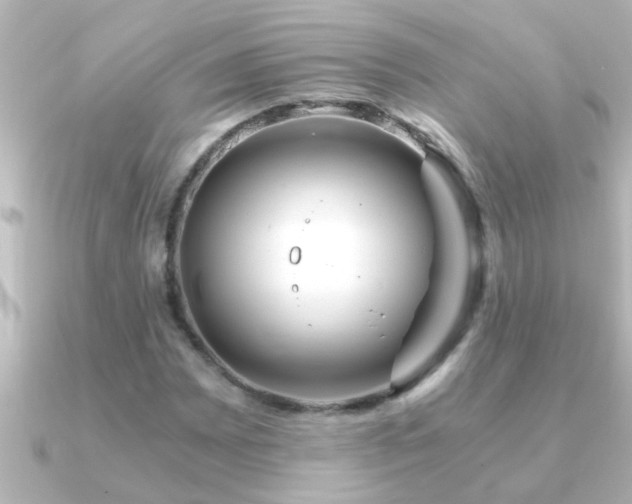X0000091181065200708091218