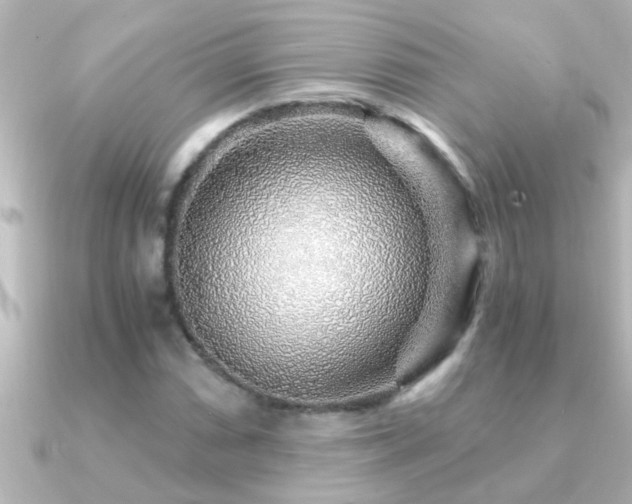 X0000091181066200708091218