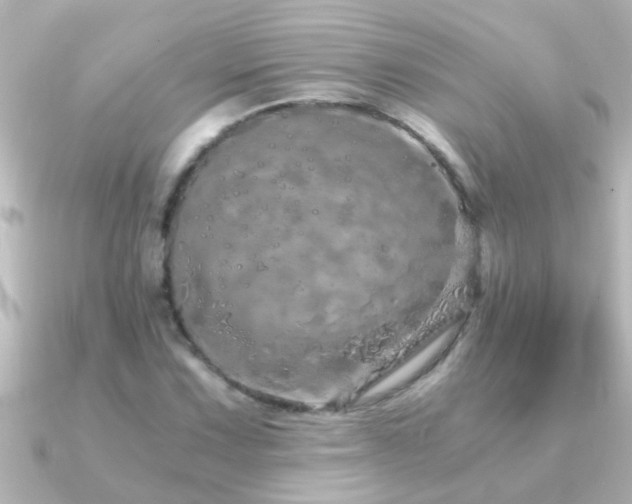 X0000091181067200708091218