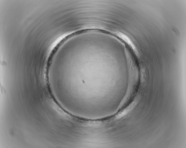 X0000091181068200708091218