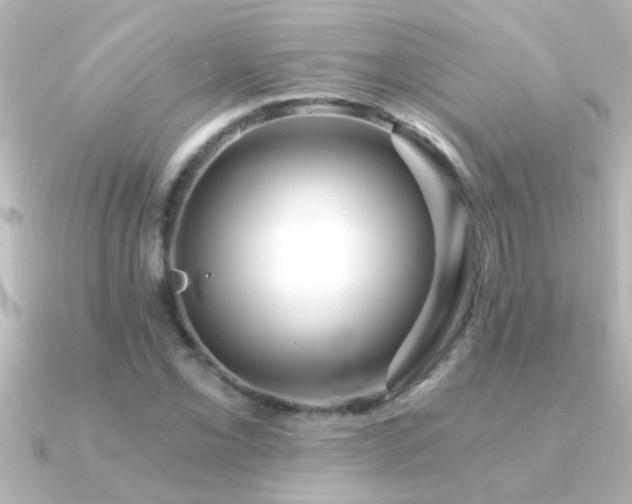 X0000091181069200708091218