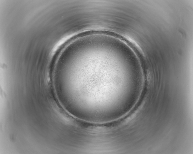 X0000091181070200708091218