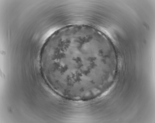 X0000091181071200708091218