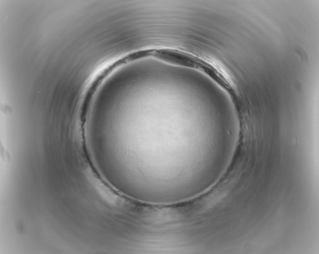 X0000091181072200708091218