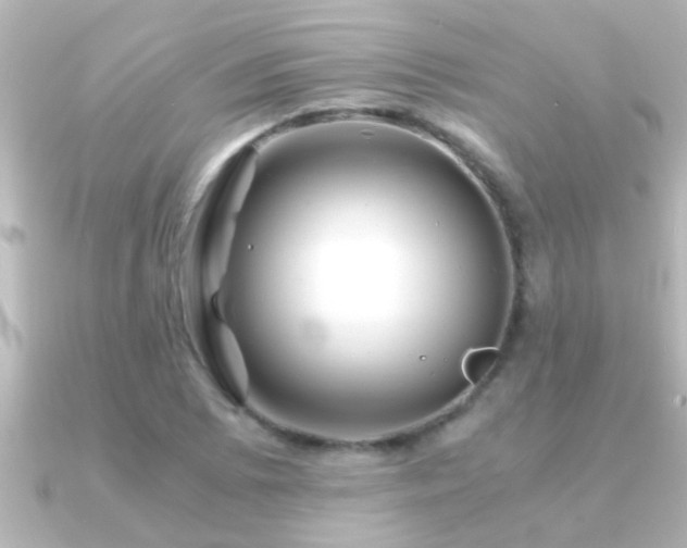 X0000091181073200708091218