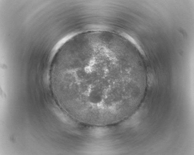 X0000091181074200708091218
