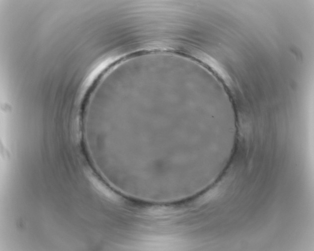 X0000091181075200708091218