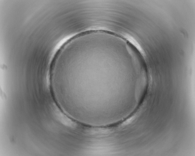 X0000091181076200708091218