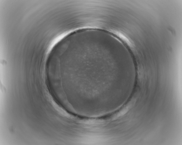 X0000091181077200708091218