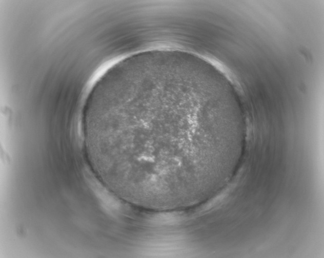 X0000091181078200708091218