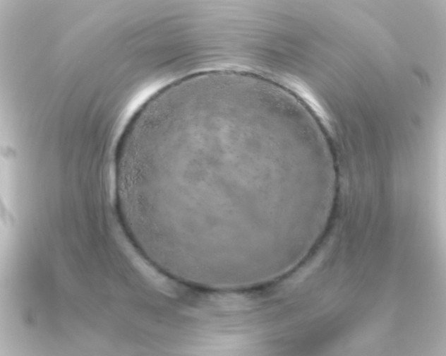 X0000091181079200708091218