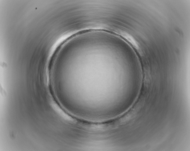X0000091181080200708091218