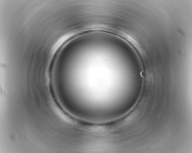 X0000091181082200708091218