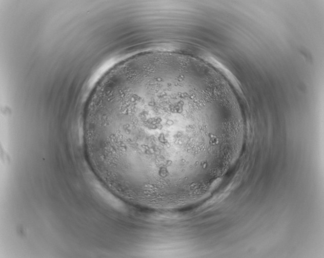 X0000091181083200708091218