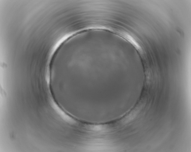 X0000091181084200708091218