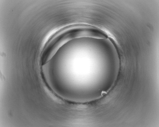 X0000091181085200708091218