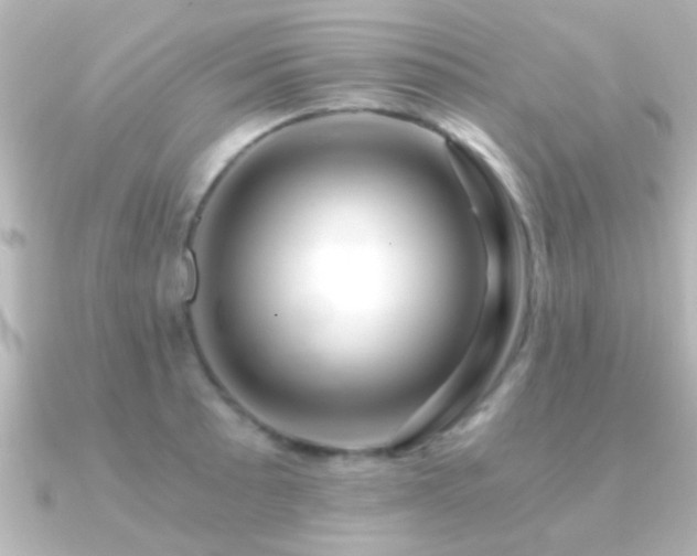 X0000091181089200708091218