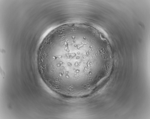X0000091181091200708091218