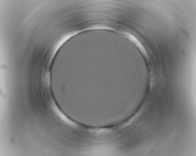 X0000091181092200708091218