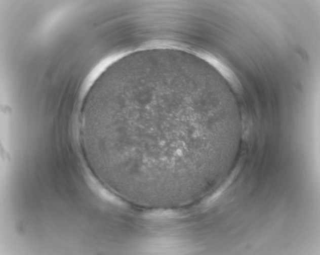 X0000091181094200708091218
