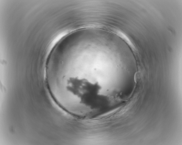 X0000091181095200708091218