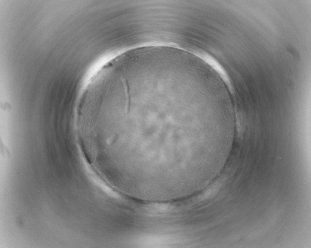 X0000091181096200708091218