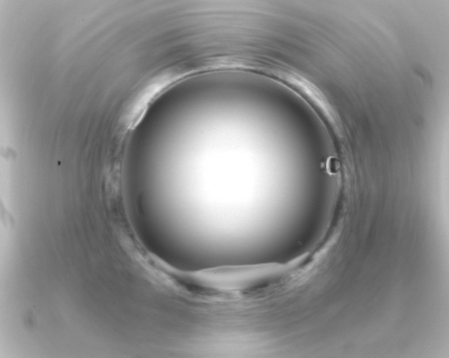 X0000091181097200708091218